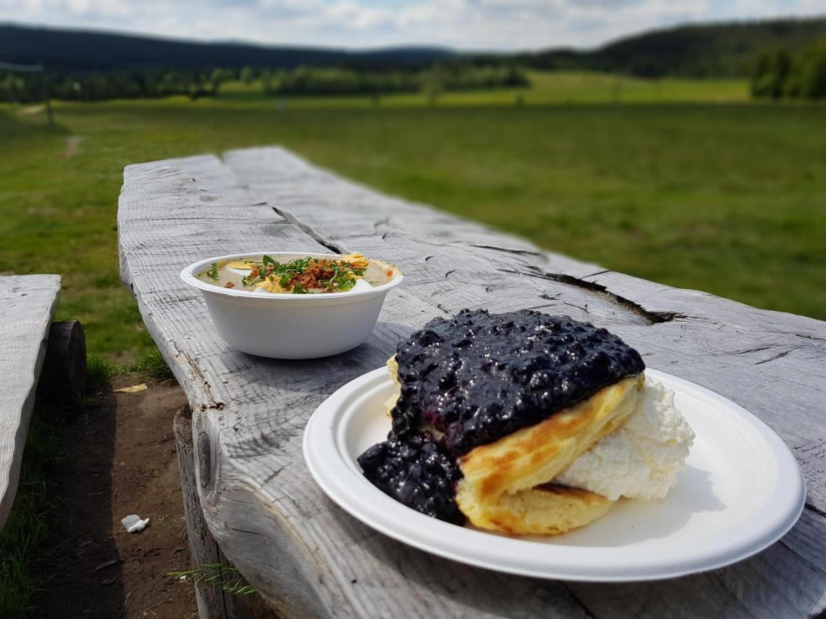 Enjoyharrachov - Atraktivni Slunne Studio Certovka V Centru Harrachova S Garazovym Parkovanim, Wifi-Wlan, Sat, Herni Konzoli, Netflix Zdarma A Nejkrasnejsim Vyhledem Na Certovu Horu S Arealem Skokanskych Mustku A Sjezdovku المظهر الخارجي الصورة