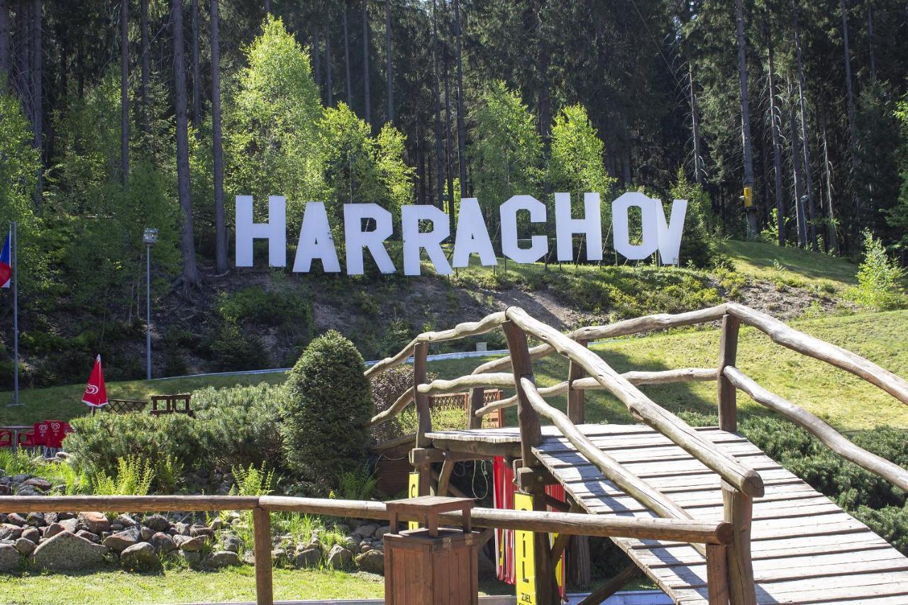 Enjoyharrachov - Atraktivni Slunne Studio Certovka V Centru Harrachova S Garazovym Parkovanim, Wifi-Wlan, Sat, Herni Konzoli, Netflix Zdarma A Nejkrasnejsim Vyhledem Na Certovu Horu S Arealem Skokanskych Mustku A Sjezdovku المظهر الخارجي الصورة