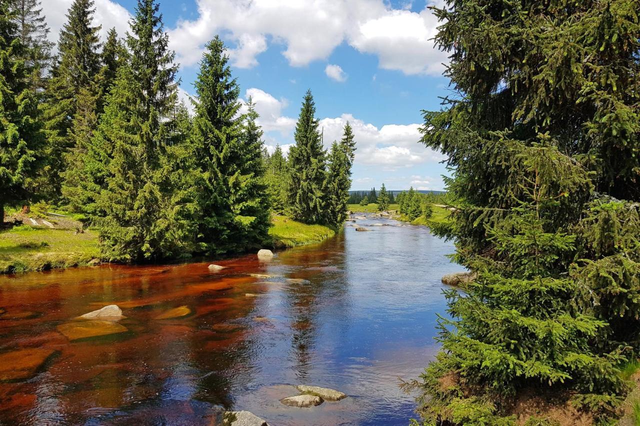 Enjoyharrachov - Atraktivni Slunne Studio Certovka V Centru Harrachova S Garazovym Parkovanim, Wifi-Wlan, Sat, Herni Konzoli, Netflix Zdarma A Nejkrasnejsim Vyhledem Na Certovu Horu S Arealem Skokanskych Mustku A Sjezdovku المظهر الخارجي الصورة